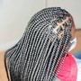 Goddess Braids(large)