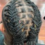 Plaits (INDIVIDUAL BRAIDS ON LOCS)