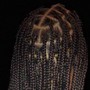 Loc Maintenance, Loc Coils, Dreadlocks