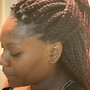 Braids Updo