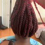 Braids Updo