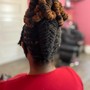 Loc retwist + 2strand twists