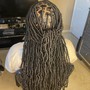 Starter Locs