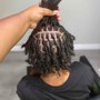 (Retwist only) Short Locs