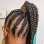 Tree Braids