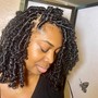 Senegalese Twist-mid back