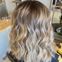 Partial Highlights/ Hc/style