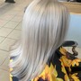 Partial Highlights/ Hc/style