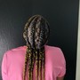 Medium Box Braids (not knottless)