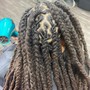 Butterfly locs / regular length