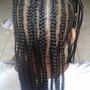 Poetic Justice Braids