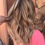 Full Balayage/highlights  w/ Blowdry ( long hair )