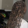 Starter Locs