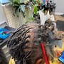 Shoulder length Retwist