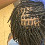 Starter Loc Twists