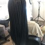 Starter locs (women only)