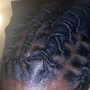 Wash and retwist (50 locs or less)(shoulder length)