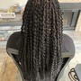 Starter Loc Twists