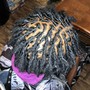 Loc Extensions/ Reattachment 20-49 locs