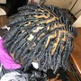 Loc Extensions/ Reattachment 20-49 locs