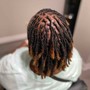 (Retwist only) Short Locs