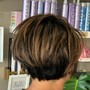 Partial Highlights(1/2 head)