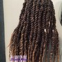 Crown 2 Strand Twists