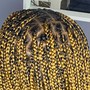 Medium  Butterfly Locs/Midback