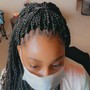 Braids Updo/ponytail