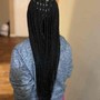 2 Feed Ins/ Goddess Braids