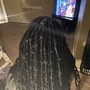 Starter Locs