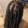 Medium Box Braids