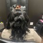 Versatile Sew In