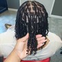 Starter Locs