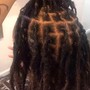 Traditional Starter LOC's