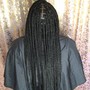 Goddess Braids - Large