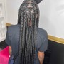 Box Braids