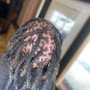 Double Process Color(locs/natural hair)