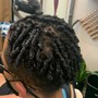 Starter Dreadlocks