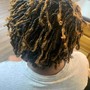 Starter Locs