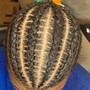 Two Strand Twists