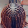 Medium Box Braids