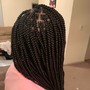 Two Strand Twists