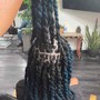 Braided indivual extensions