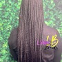 Senegalese Twist(shoulder length