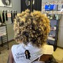 Starter Dreadlocks (thin/ regular textured hair)