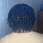 Two Strand Twist(No Extensions)