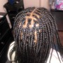 Dreadlocks Retwist