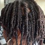 Flat Twists w/ Added hair