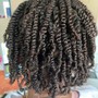 Flat Twists w/ Added hair